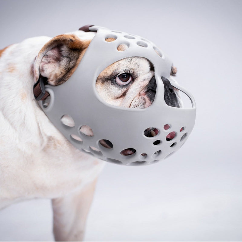 Soft Rubber Short-Muzzle Dog Muzzle – For Bulldogs, Pugs & Flat-Faced Breeds - BsBuy