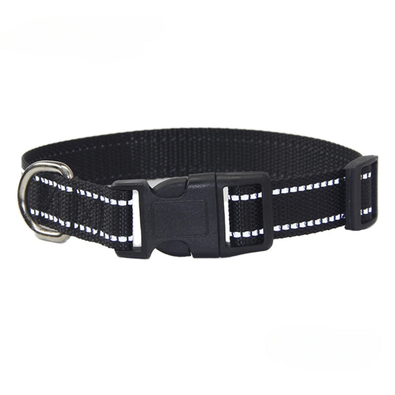 Nylon Dog Collar & Leash Set — Vibrant Colours for Small, Medium & Large Dogs - BsBuy