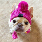Cosy Knitted Pet Hat – Cats & Dogs | All Seasons - BsBuy