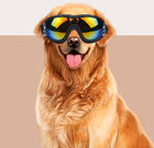 Pet Glasses Windproof and UV resistant Sunglasses - BsBuy