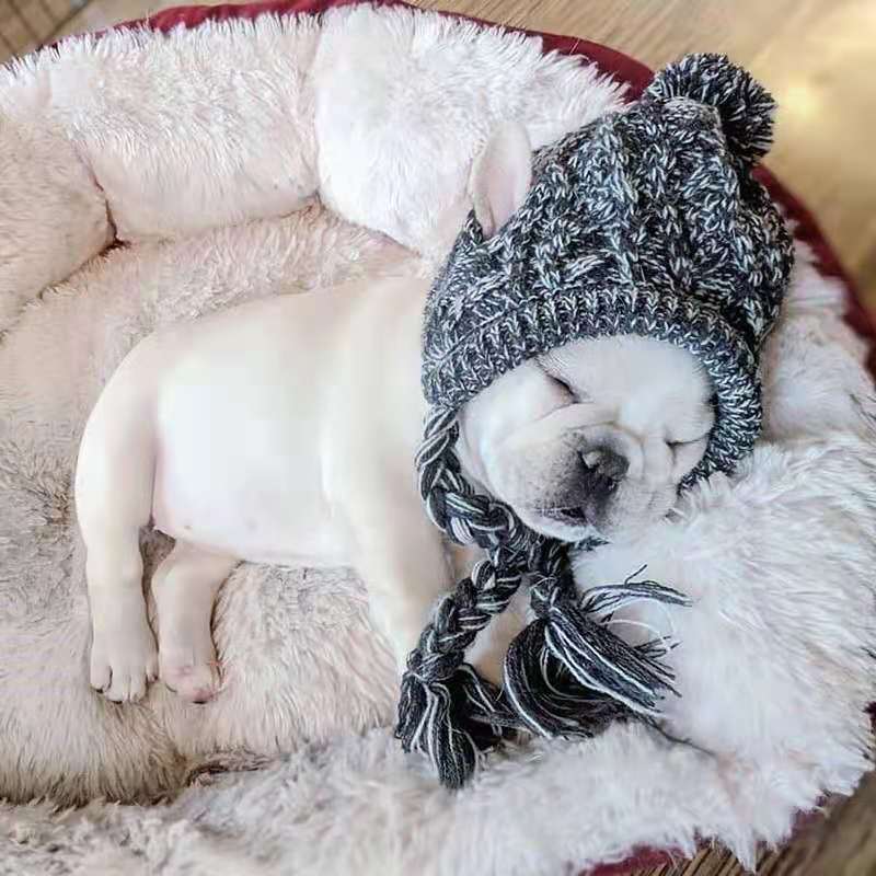 Cosy Knitted Pet Hat – Cats & Dogs | All Seasons - BsBuy