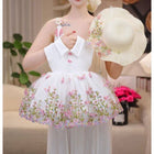 Charming Embroidered Floral Tulle Puff Dress for Girls, Princess Style Formal Dress - BsBuy