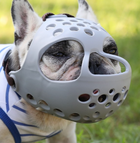 Soft Rubber Short-Muzzle Dog Muzzle – For Bulldogs, Pugs & Flat-Faced Breeds - BsBuy