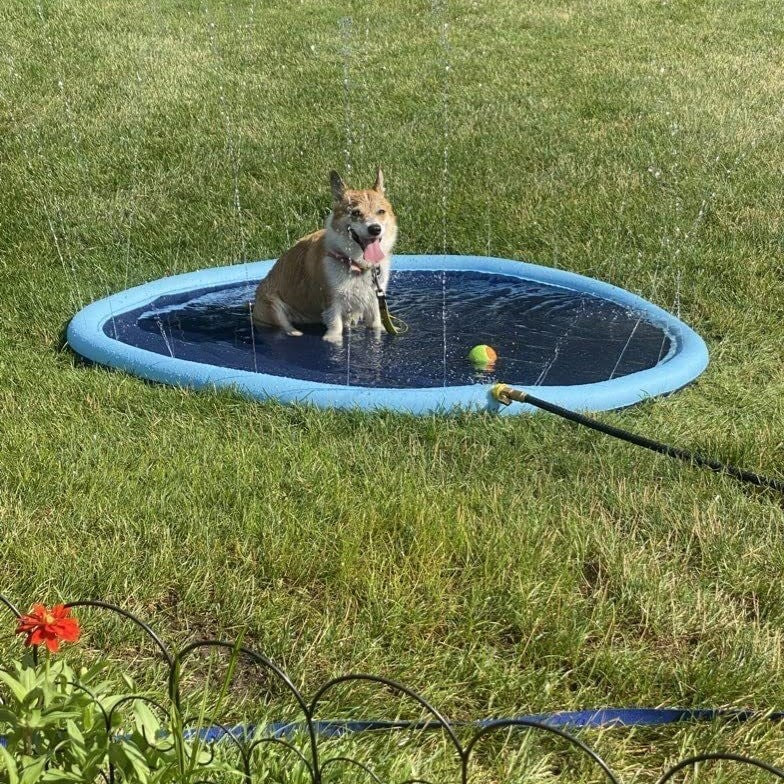 Round PVC Pet Water Spray Mat – Cooling Splash Pad for Dogs & Cats - BsBuy