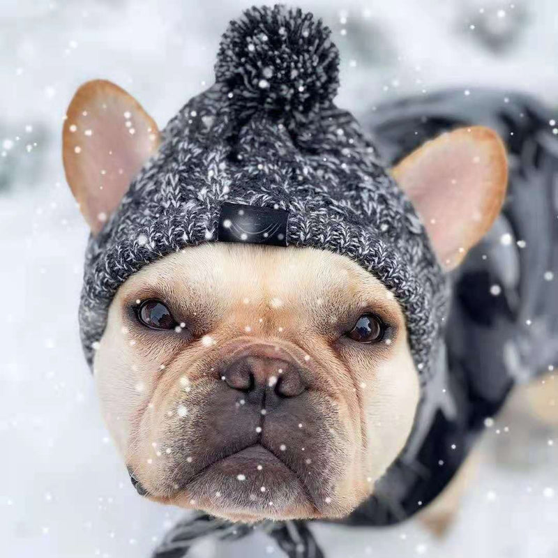 Cosy Knitted Pet Hat – Cats & Dogs | All Seasons - BsBuy