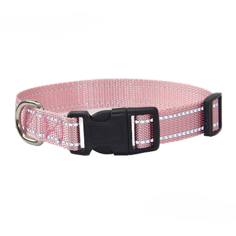 Nylon Dog Collar & Leash Set — Vibrant Colours for Small, Medium & Large Dogs - BsBuy