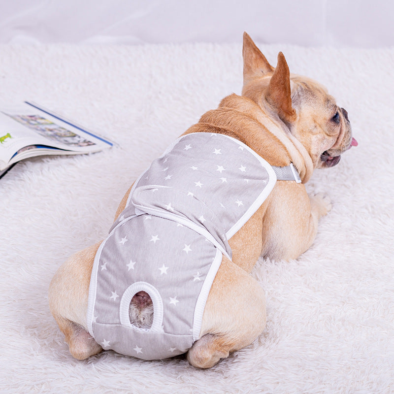Female Teddy corgi Puppy Pug Menstrual Pet Safety Pants - BsBuy