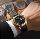 Swiss Brand Waterproof Luminous Men's Quartz Watch