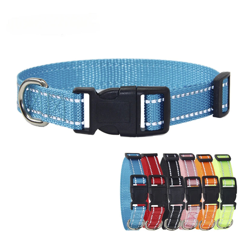 Nylon Dog Collar & Leash Set — Vibrant Colours for Small, Medium & Large Dogs - BsBuy