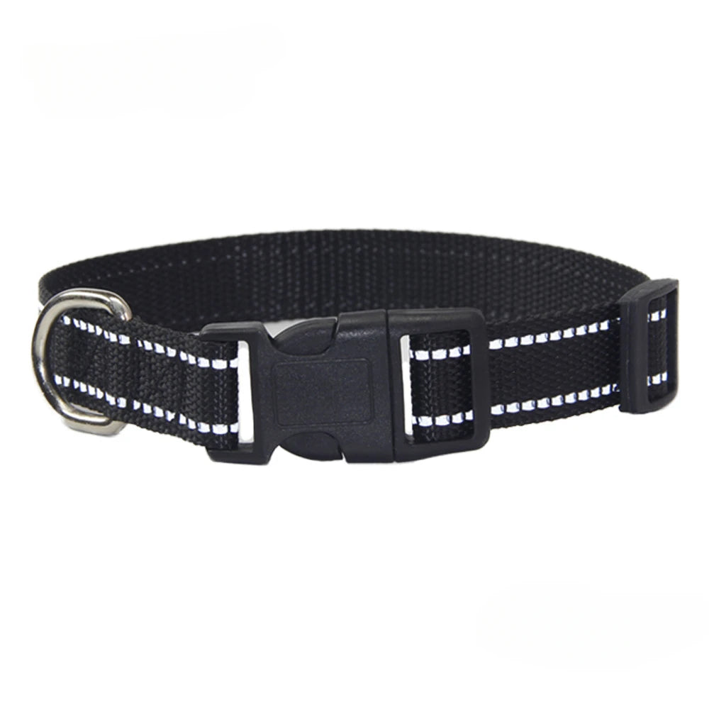 Nylon Dog Collar & Leash Set — Vibrant Colours for Small, Medium & Large Dogs - BsBuy