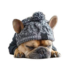 Cosy Knitted Pet Hat – Cats & Dogs | All Seasons - BsBuy