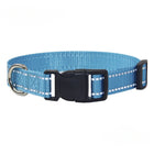 Nylon Dog Collar & Leash Set — Vibrant Colours for Small, Medium & Large Dogs - BsBuy