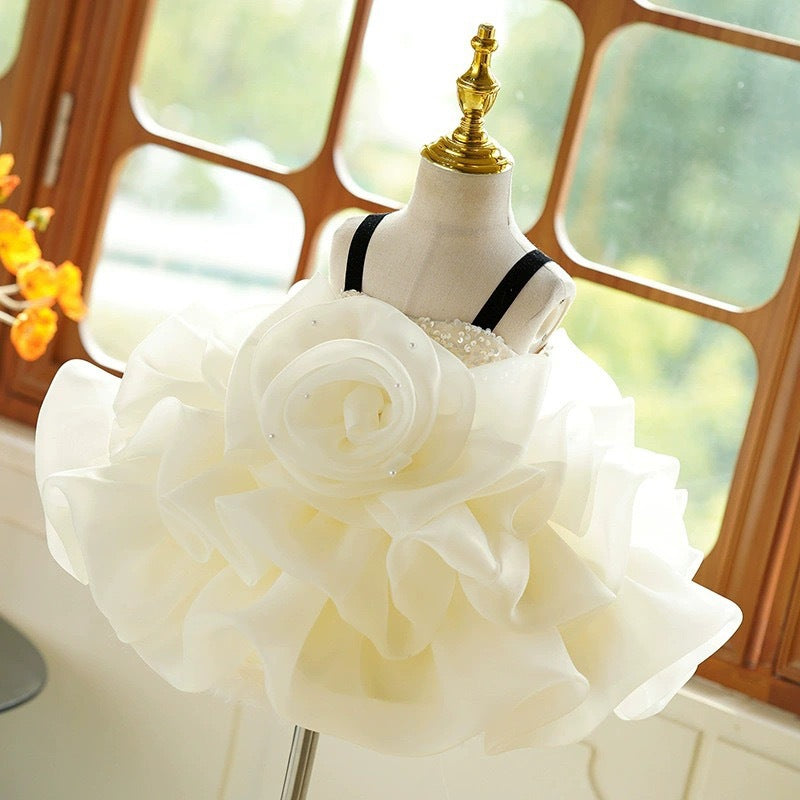 Summer Girls' Dress Mesh Puffy Strap Princess Dress Baby Birthday Formal Dress - BsBuy