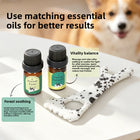 BsBuy Ceramic Pet Massage Rod & Relaxation Set | Calming Tool for Dogs | With Essential Oils Option