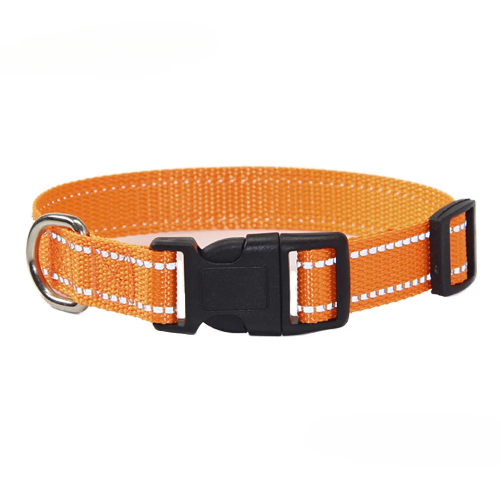 Nylon Dog Collar & Leash Set — Vibrant Colours for Small, Medium & Large Dogs - BsBuy