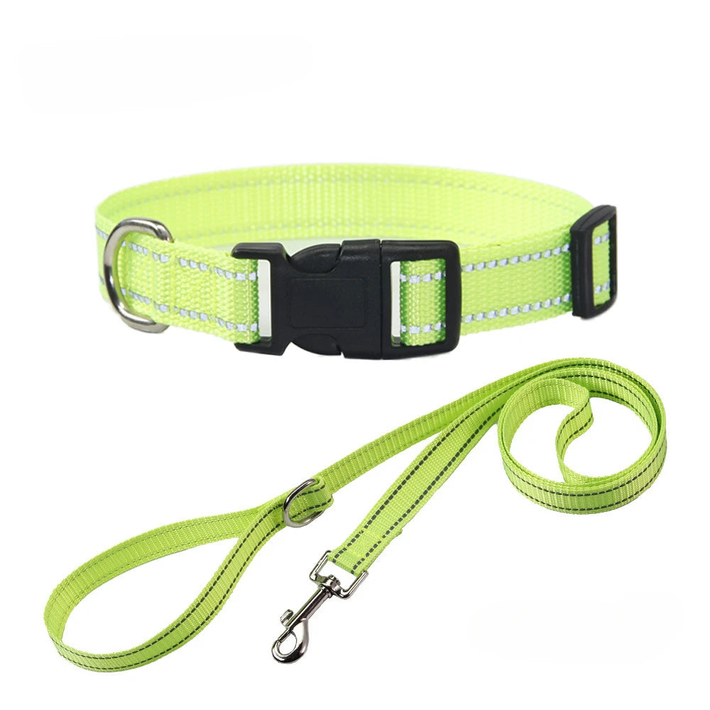 Nylon Dog Collar & Leash Set — Vibrant Colours for Small, Medium & Large Dogs - BsBuy