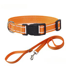 Nylon Dog Collar & Leash Set — Vibrant Colours for Small, Medium & Large Dogs - BsBuy