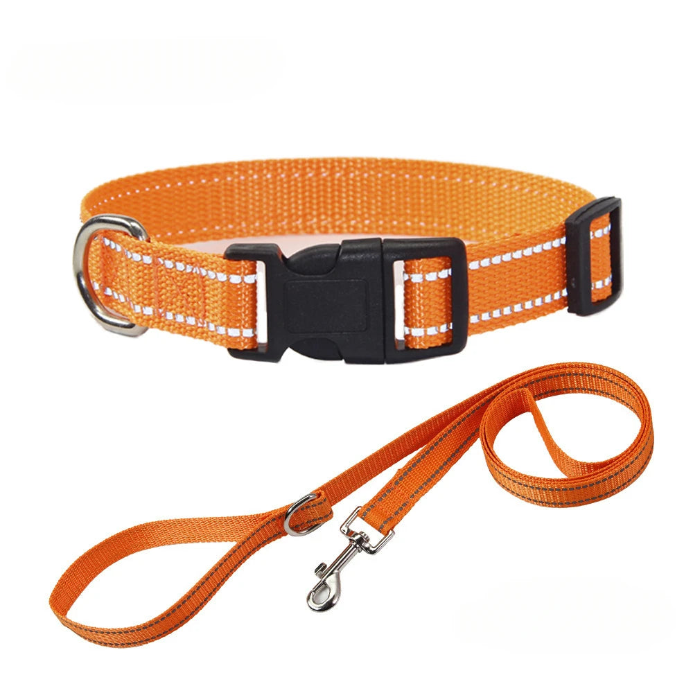 Nylon Dog Collar & Leash Set — Vibrant Colours for Small, Medium & Large Dogs - BsBuy