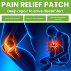 Mugwort Pain Relief Patches – Herbal Moxa Patches for Joints & Muscles - BsBuy