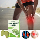 Mugwort Pain Relief Patches – Herbal Moxa Patches for Joints & Muscles - BsBuy