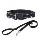 Nylon Dog Collar & Leash Set — Vibrant Colours for Small, Medium & Large Dogs - BsBuy