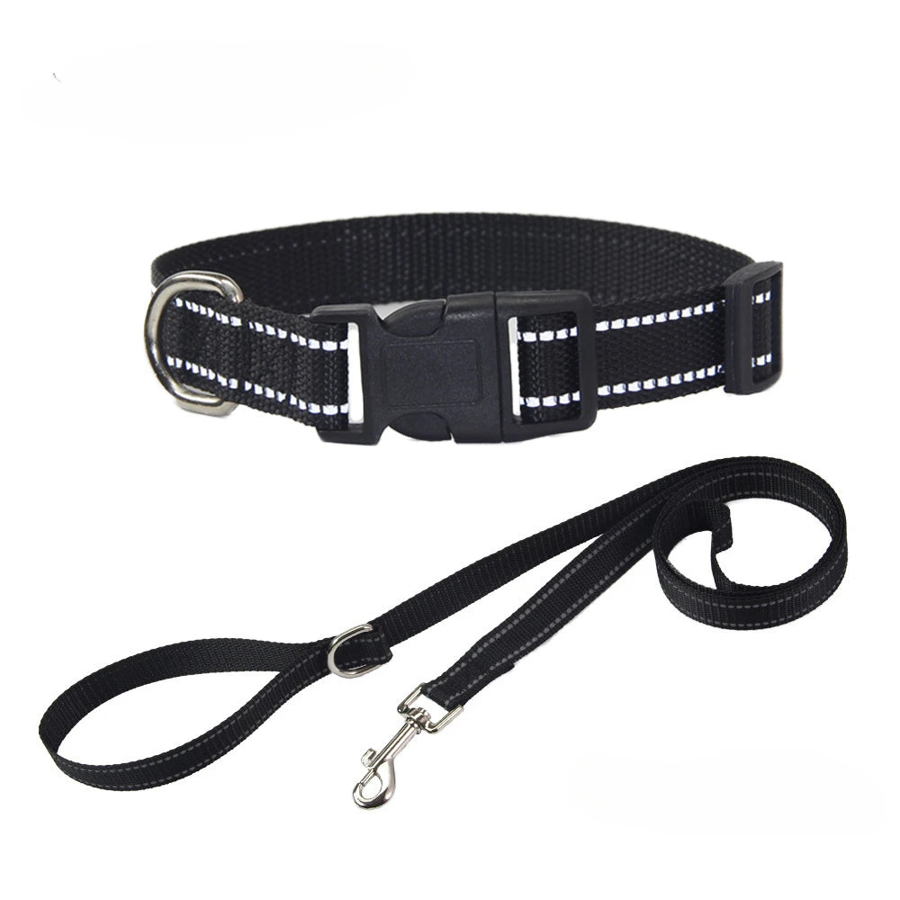 Nylon Dog Collar & Leash Set — Vibrant Colours for Small, Medium & Large Dogs - BsBuy