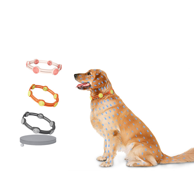 Pet Insect Repellent Collar — Adjustable Mosquito & Flea Repellent for Cats & Dogs - BsBuy