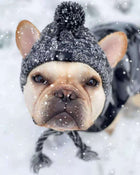 Cosy Knitted Pet Hat – Cats & Dogs | All Seasons - BsBuy