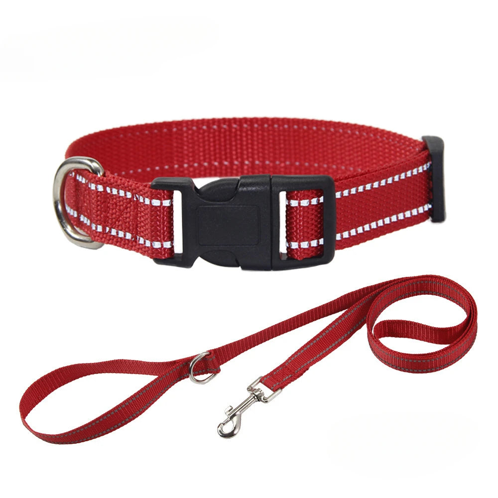 Nylon Dog Collar & Leash Set — Vibrant Colours for Small, Medium & Large Dogs - BsBuy