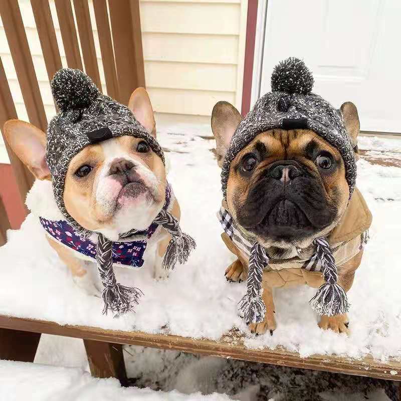 Cosy Knitted Pet Hat – Cats & Dogs | All Seasons - BsBuy