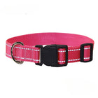 Nylon Dog Collar & Leash Set — Vibrant Colours for Small, Medium & Large Dogs - BsBuy