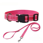 Nylon Dog Collar & Leash Set — Vibrant Colours for Small, Medium & Large Dogs - BsBuy