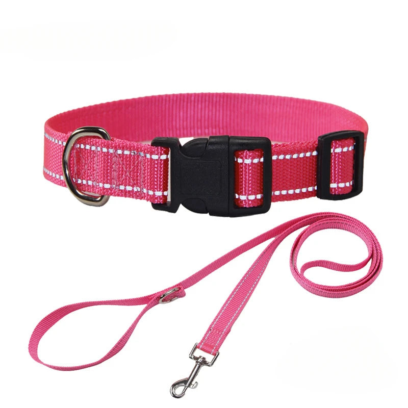 Nylon Dog Collar & Leash Set — Vibrant Colours for Small, Medium & Large Dogs - BsBuy