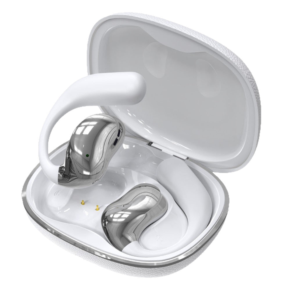 AI Translation Bluetooth Earphones – Real-Time Multilingual Translation & Hi-Fi Sound - BsBuy