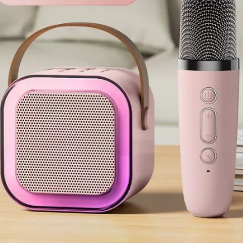 Portable Bluetooth Karaoke Speaker with Microphone - BsBuy